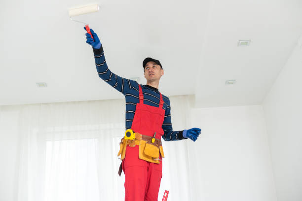 Best Drywall Sanding and Smoothing  in Roosevelt, NY